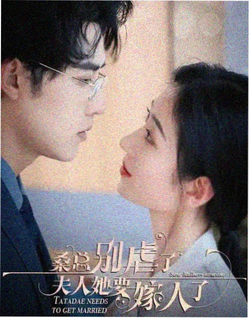 短文小说《把秘密喂给猫》封面