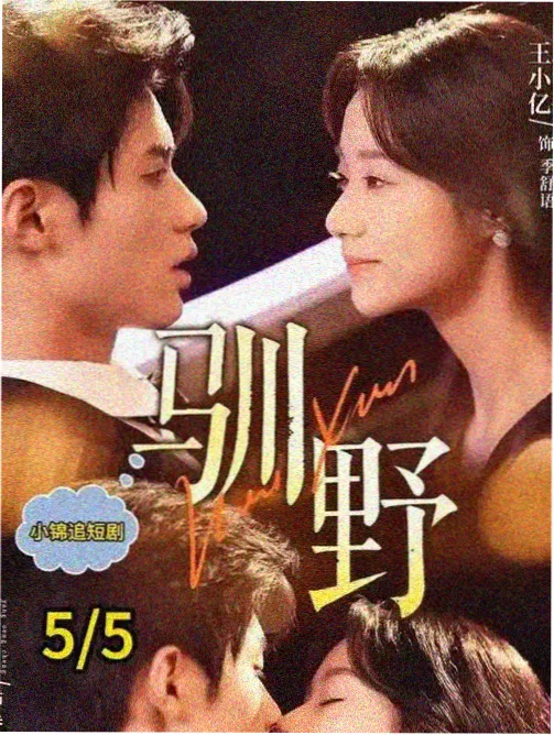 短文小说《她把月光缝进衣袖》封面